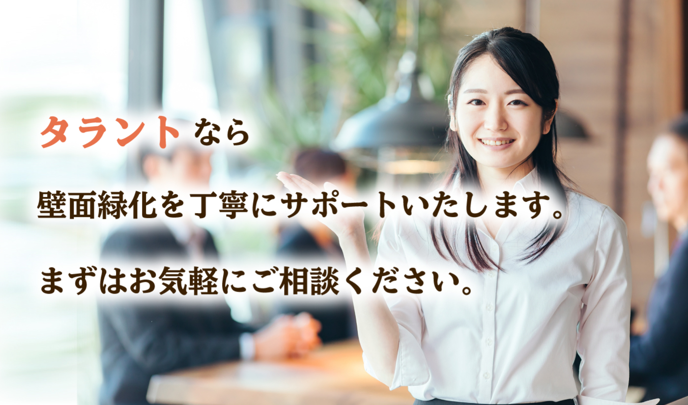 株式会社タラントなら壁面緑化を丁寧にサポートいたします。まずはお気軽にご相談ください。